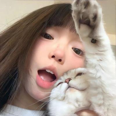 我的朋友是萌鲨